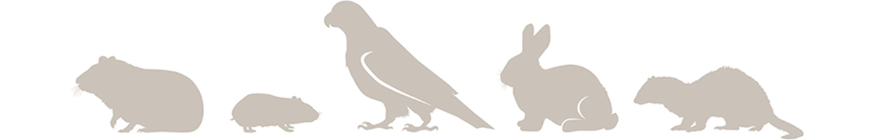Animals_long Animals_long